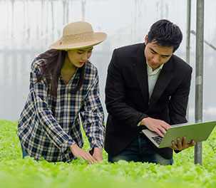 business worker and farmer checking hydroponic vegetable greenhouse