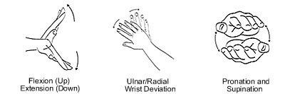 Exercises for the wrist